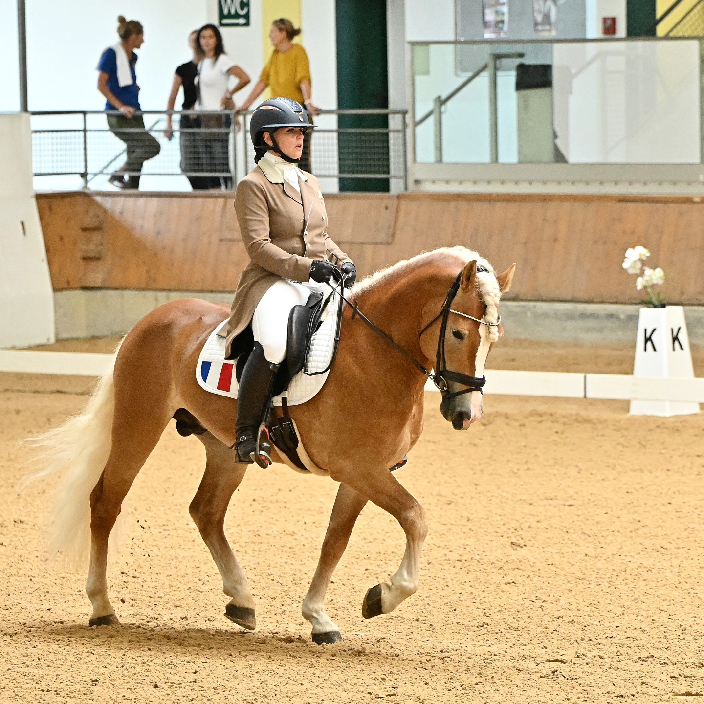 Morgane et Santa Cruz lors du Championnat d'Europe Haflinger 2024 à Stadl-Paura en Autriche.