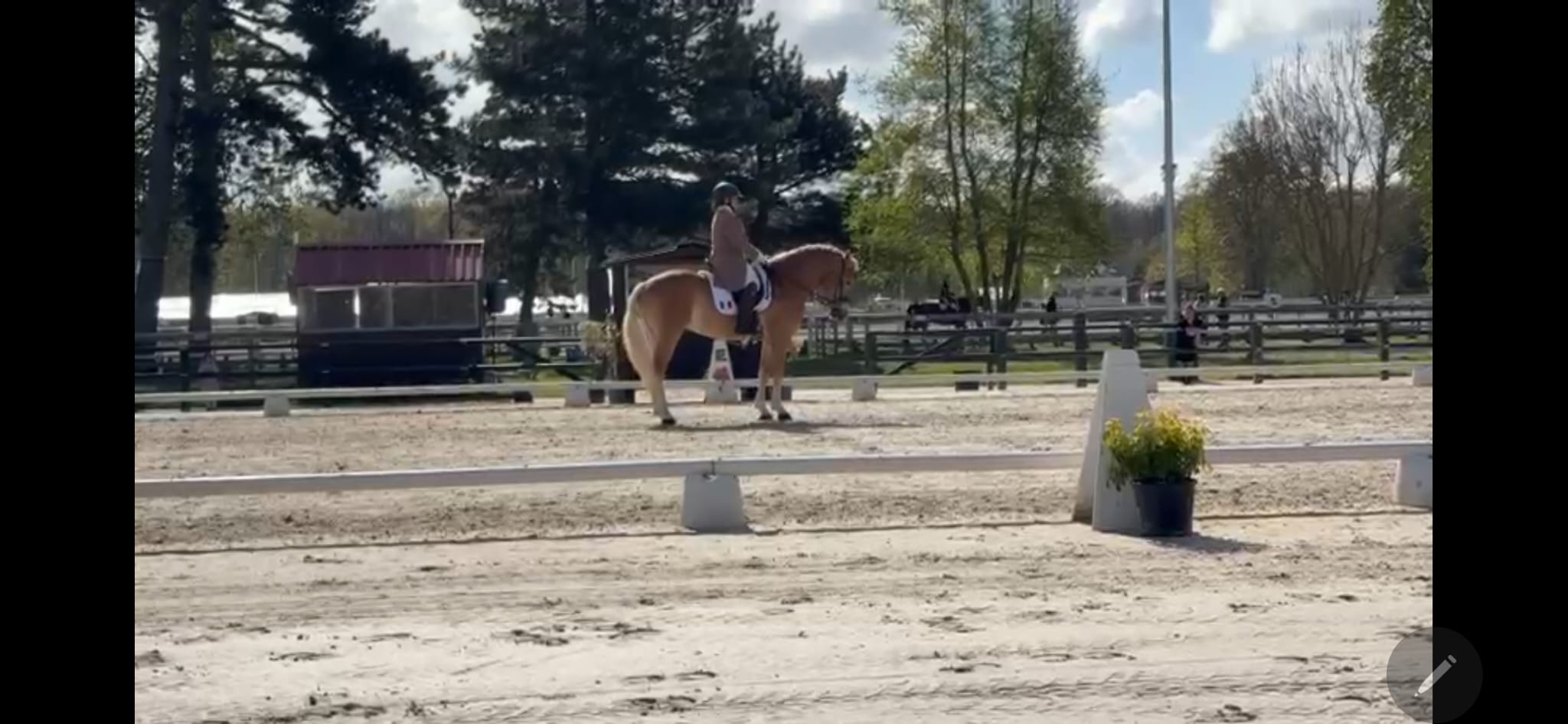 Santa Cruz àç fait son entré pour son épreuve de dressage lors d'un concours à Jardy.