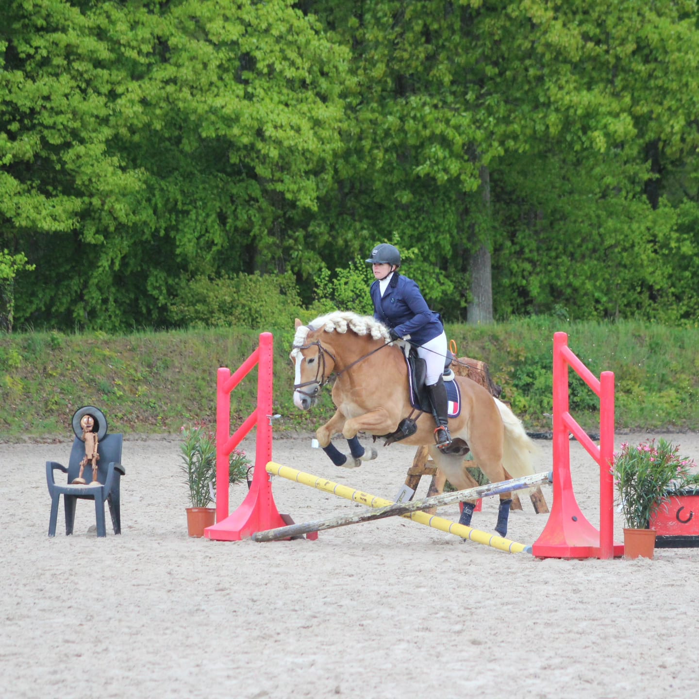 Santa Cruz en épreuve de franchissement d'obstacles lors d'un concours de Working Equitation.Étalo